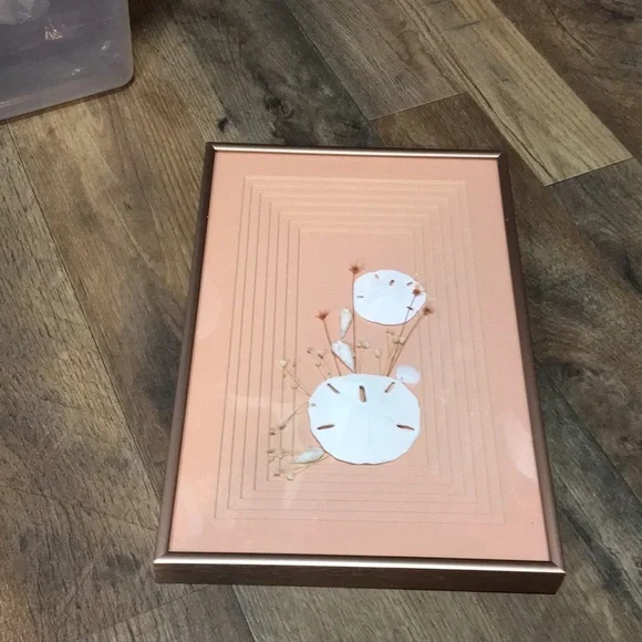 Vintage Framed Sand Dollars & Dried Flower Wall Art in a Pink Metal Frame - Picture 7 of 17
